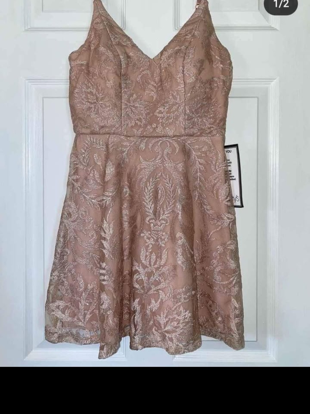 Blush Embroidered V-Neck Mini Dress